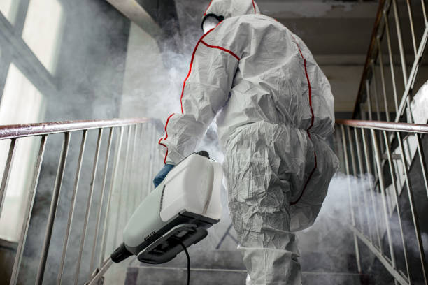 Best Mold Removal for HVAC Installations  in Herald, CA